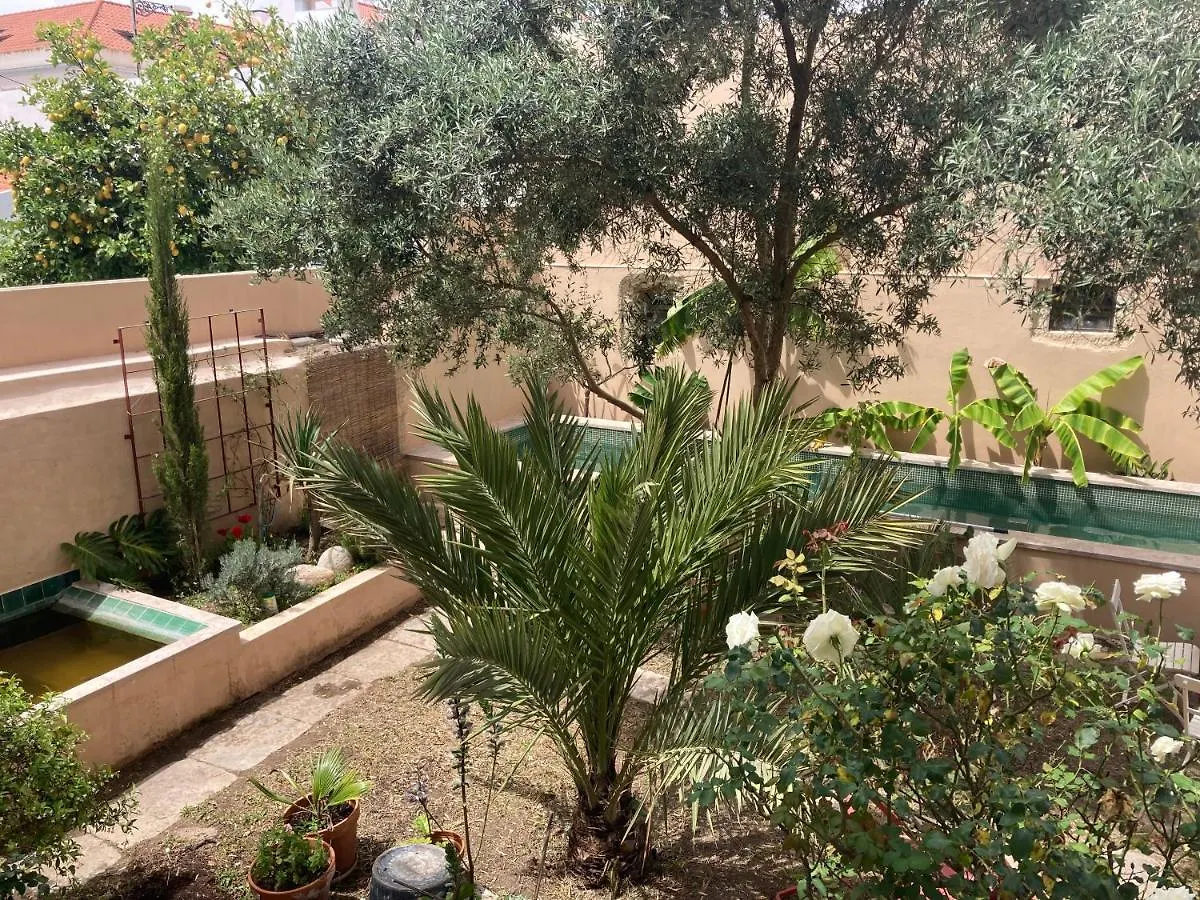 Junqueira Gardens - Casa Antiga Jardim E Piscina Villa Lisboa